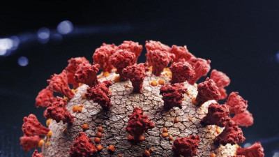 BBC News 中文网-Science 身体有症状是否患长新冠 新研究为确诊带来希望