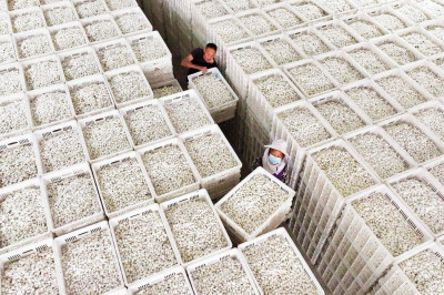 联合早报-中国8月多项指标下滑增长势头再度减弱　