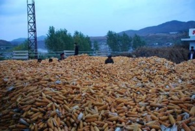 韩国中央日报-中国收紧制裁对北韩出口大米化肥玉米骤减98