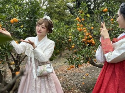 韩国中央日报-济州至中国直航增班 明年迎来更多中国游客