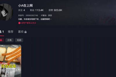 联合早报-中国多名躺平博主被封 整治颓废内容再升级