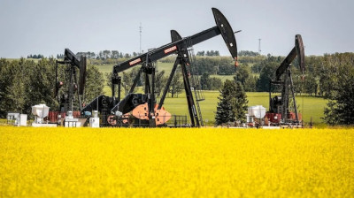 加拿大国际广播电台-联邦部长与油菜籽农团体会面讨论中国新增关税