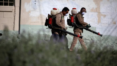 半岛电视台-什么是基孔肯雅病毒中国等国家如何抗击疫情