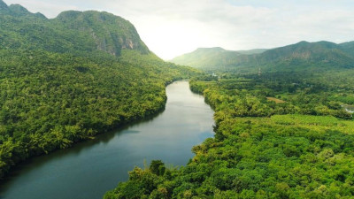 半岛电视台-中国支持巴西1250亿美元的森林保护基金