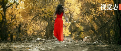 中国最美秋天，已封神！