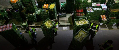 渴望「带薪减肥」的年轻人，涌入生鲜分拣仓