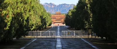 1995年，大清历史终结于此