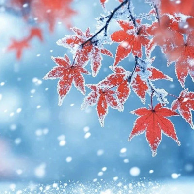 冬盈一岁满，雪落有清欢