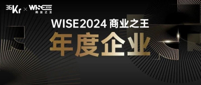 WISE2024 年度企业发布｜正确的事，跨步向前