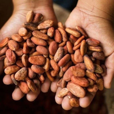 以为在吃巧克力，其实吃下去的是……