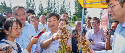 践诺于行，院士领衔！胡姬花全球花生产业研究院食安科研项目实践落地！