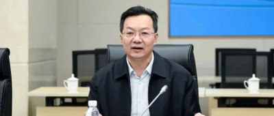 李刚被查