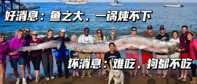 长相恐怖的“巨型带鱼”接连上岸，最长达9米，会有灾难发生吗？怎么造成的？