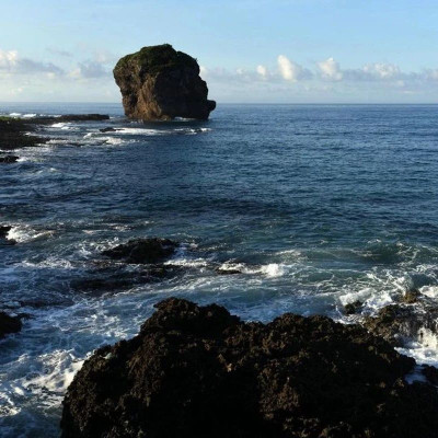 爆料：“台军和美方在台面下低调运作”