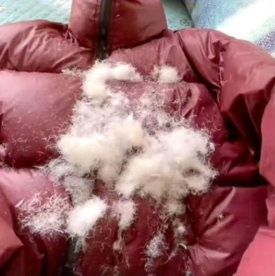 花高价买的羽绒服竟然是假的？多少人在寒潮里被活活坑惨了？