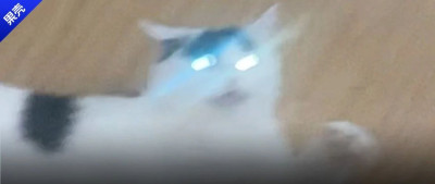 怕娃近视，于是我开始家里的亮度改造