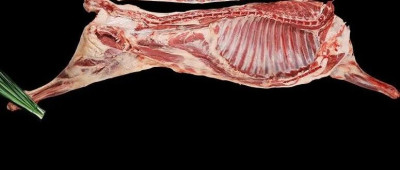 中国羊肉的顶流，为什么是它？