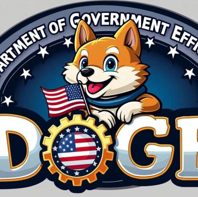 2万亿美元，DOGE部候任