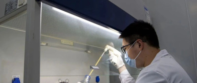 唤醒体内的“孙悟空”