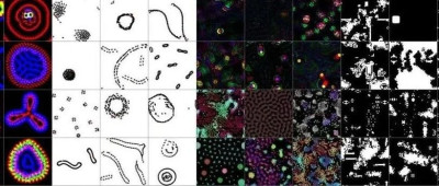 AI搜索人工生命！大模型版生命游戏来了，探索从未见过的生命形式 | 环球科学要闻