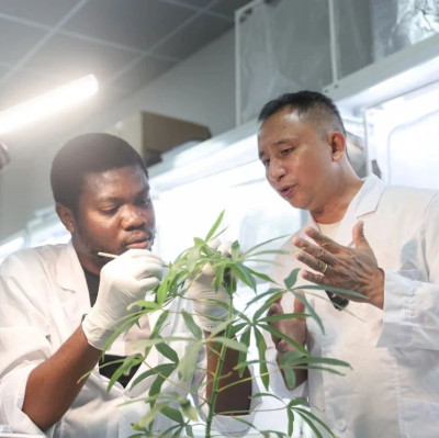 中国外长新年首访“传统”，已坚持35年！