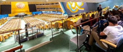 网红涌向联合国“开会”，最可怕的是，有人信了