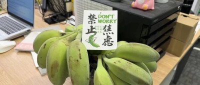 品读 | 这届职场人开始花式哄自己上班了