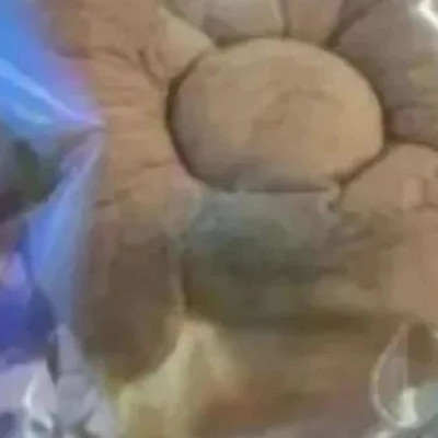 又见“发霉蛋糕”，校园食品安全为何屡屡失守