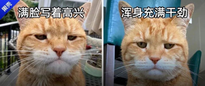 从前我也很潇洒，直到后来我被抓去上班了......