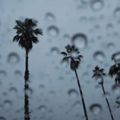 今年最后一个台风，可能要来了