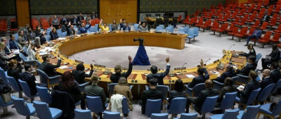 安理会一致通过，中方发声