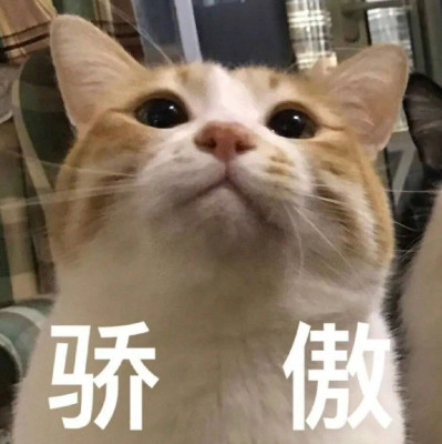 我就说上网能学到真东西吧！