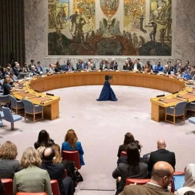 最新！5个安理会新成员开始履职