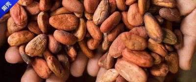 巧克力界的内卷第一名，还得是它