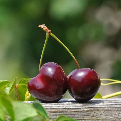 车厘子价格腰斩，平台们又打低价战