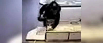 山东两首饰店同日被抢，案件告破