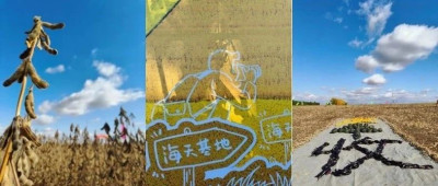 从黑土地到中华老字号，探寻海天黄豆的“酱心”之旅