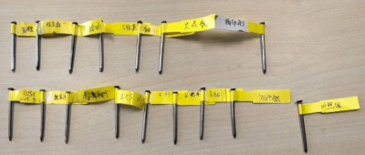 真有导师让学生“铁杵磨成针”！这是一门什么课？