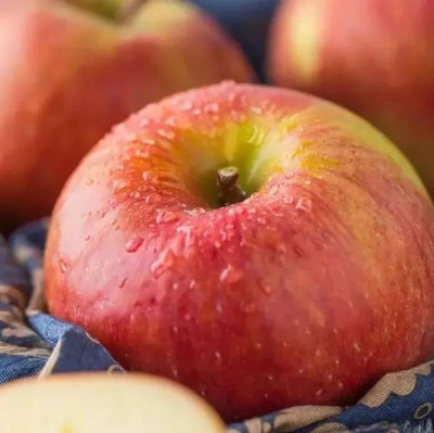 99%的人都买到了假冒阿克苏苹果