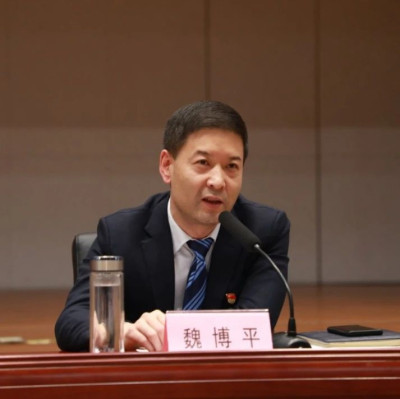 魏博平被撤销全国政协委员资格