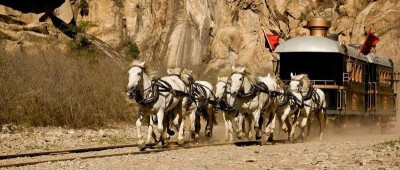 马拉火车的残酷真相