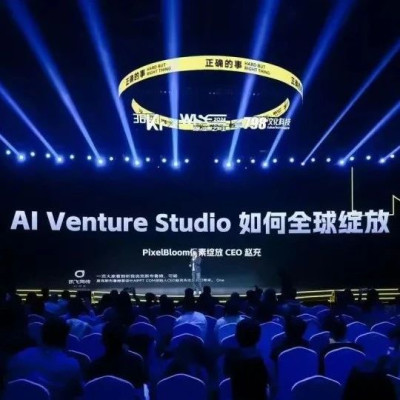 像素绽放PixelBloom（AiPPT.com）CEO赵充：未来所有应用都值得用AI重做丨WISE 2024商业之王