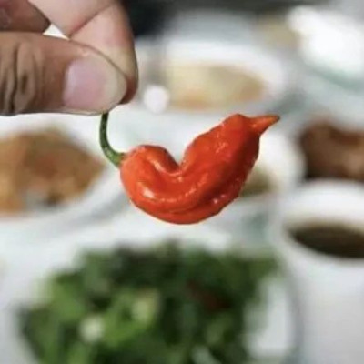 在云南吃一次涮涮辣，命都快被留下了