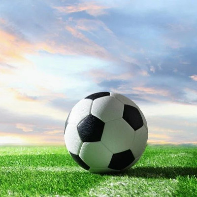 中国足协驳回13起“假球赌球”涉案人员的申诉