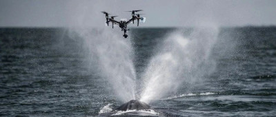 美科学家震惊：封杀中国无人机，简直疯了！