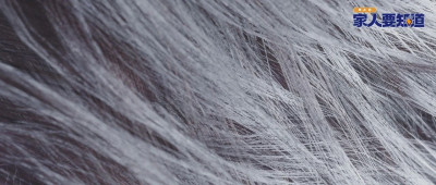 白头发越长越多？可能是缺这3种营养了！