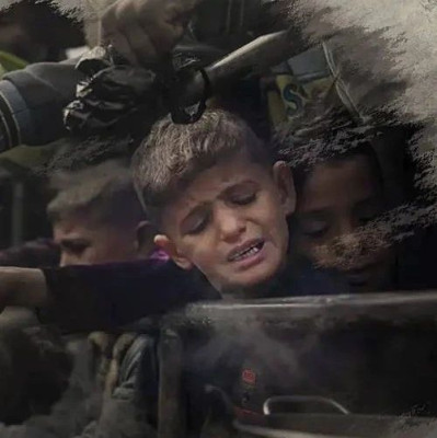 目睹这些场景，良心不会痛吗