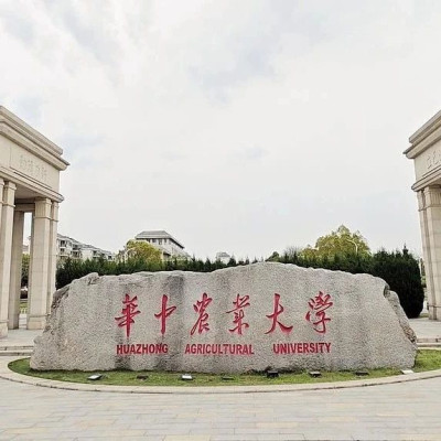 华中农大通报在校生“虐猫”事件