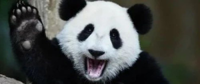 金灿荣：百年变局进入