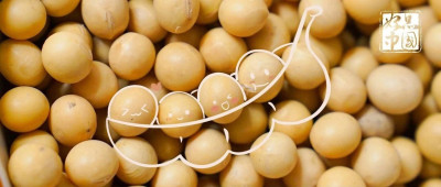 大豆、黄豆，还是毛豆？